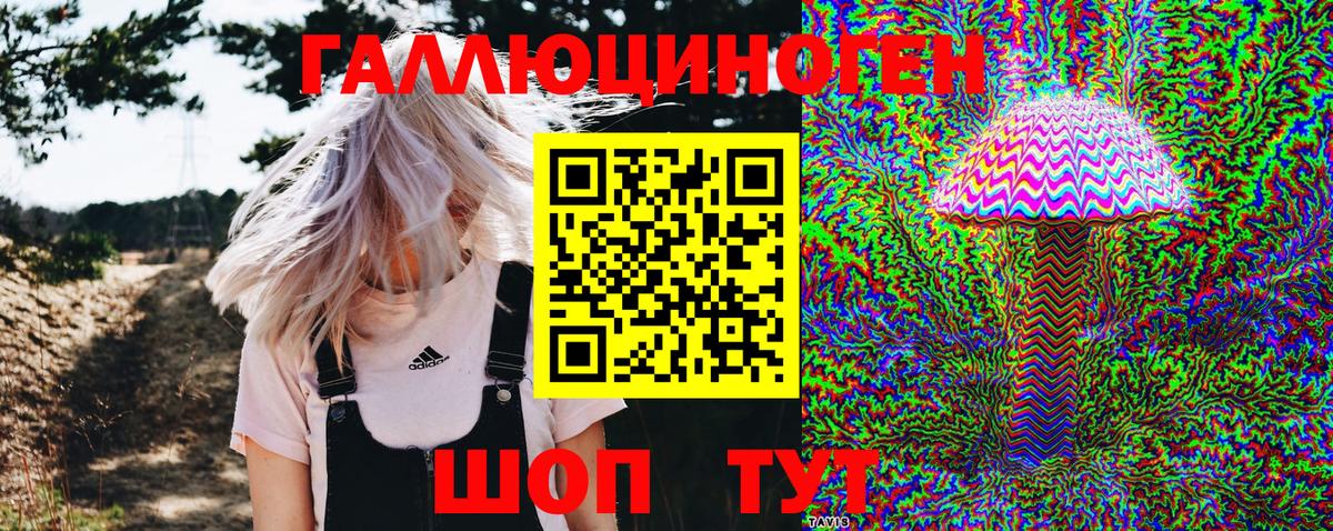 Галлюциногенные грибы Cubensis  как найти закладки  Новомосковск  Галлюциногенные грибы Psilocybine cubensis  Вход с VPN 