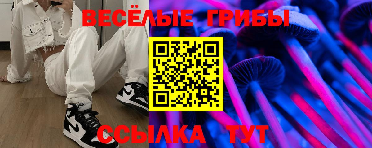 Галлюциногенные грибы ЛСД Новомосковск